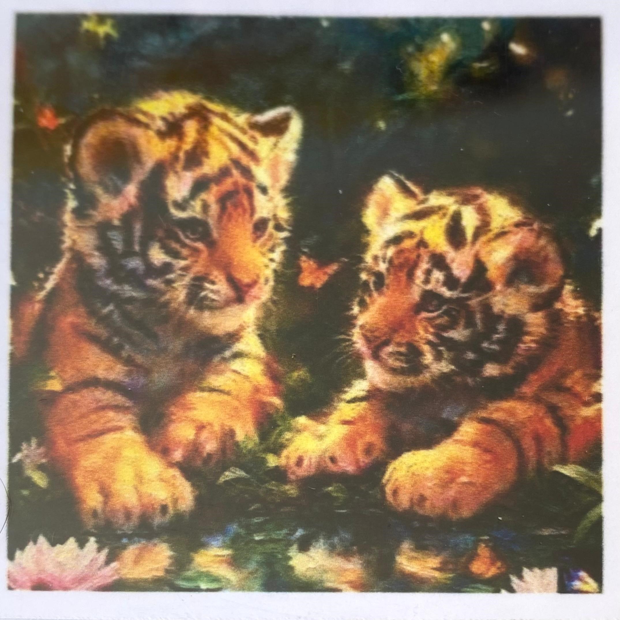 Boncuklu Taşlı Pano Çocuklar İçin Mozaik Elmas Goblen Diamond Tablo 30 X 30 Cm Kaplan Kardeşler