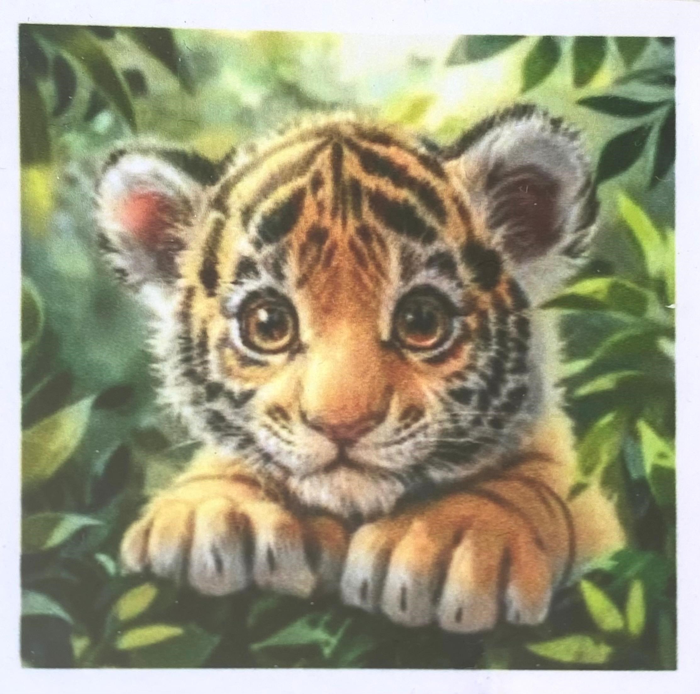 Boncuklu Taşlı Pano Çocuklar İçin Mozaik Elmas Goblen Diamond Tablo 30 X 30 Cm Kaplan Yavrusu
