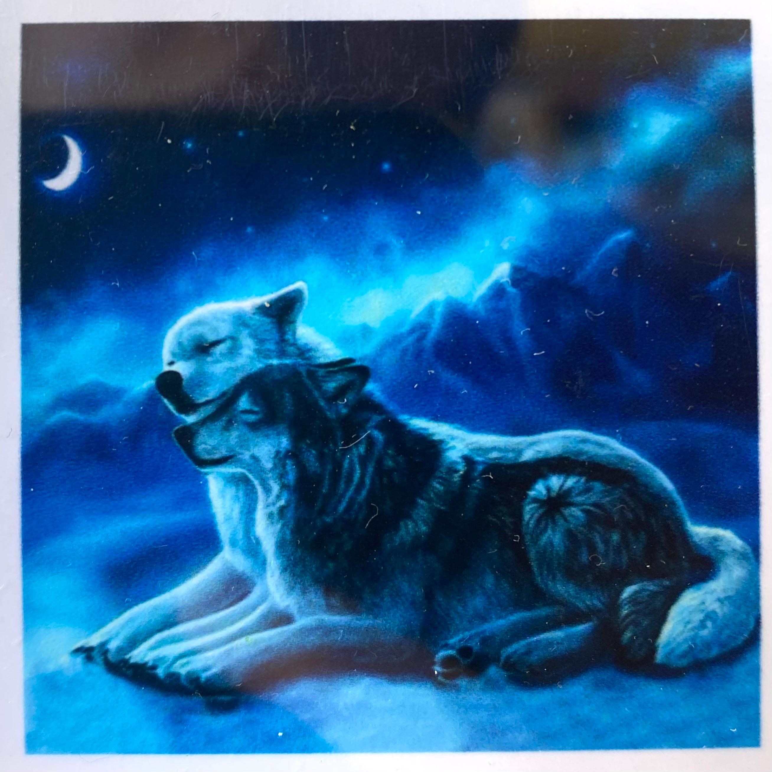 Boncuklu Taşlı Pano Çocuklar İçin Mozaik Elmas Goblen Diamond Tablo 30 X 30 Cm Kurtların Aşkı