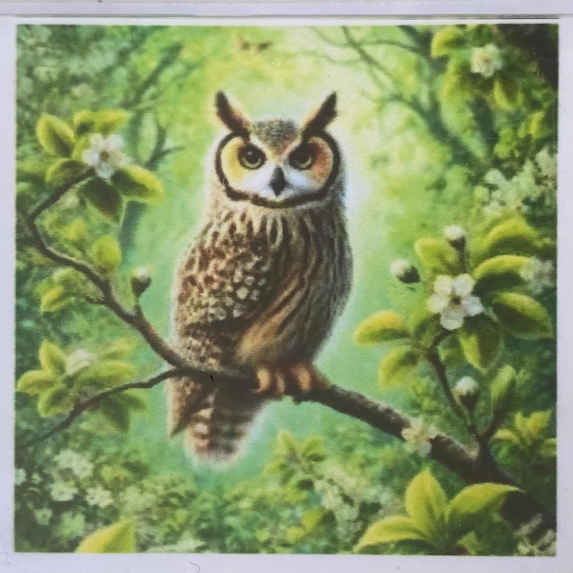 Boncuklu Taşlı Pano Çocuklar İçin Mozaik Elmas Goblen Diamond Tablo 30 X 30 Cm Baykuş