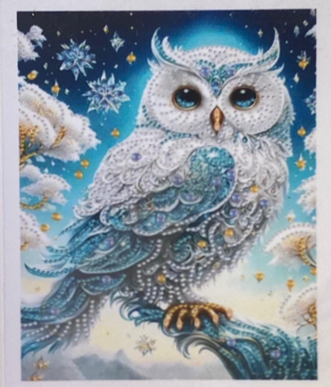 Boncuklu Taşlı Pano Çocuklar İçin Mozaik Elmas Goblen Diamond Tablo 30 X 40 Cm Kozmik Beyaz Baykuş