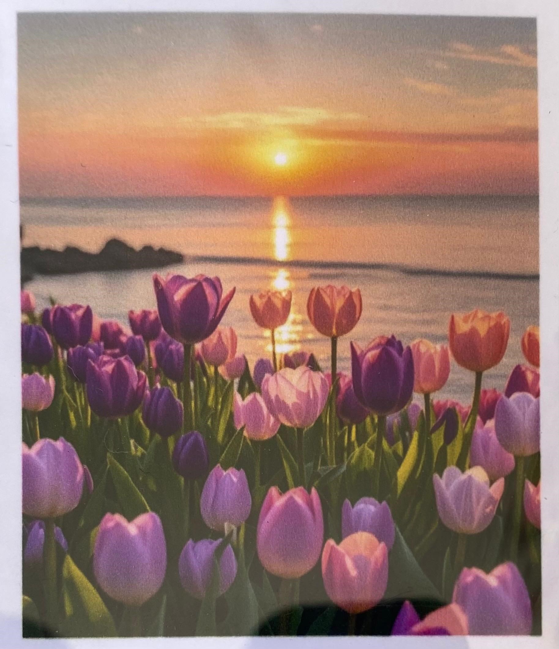 Boncuklu Taşlı Pano Mozaik Elmas Goblen Diamond Tablo 40x 50 Cm Günbatımı