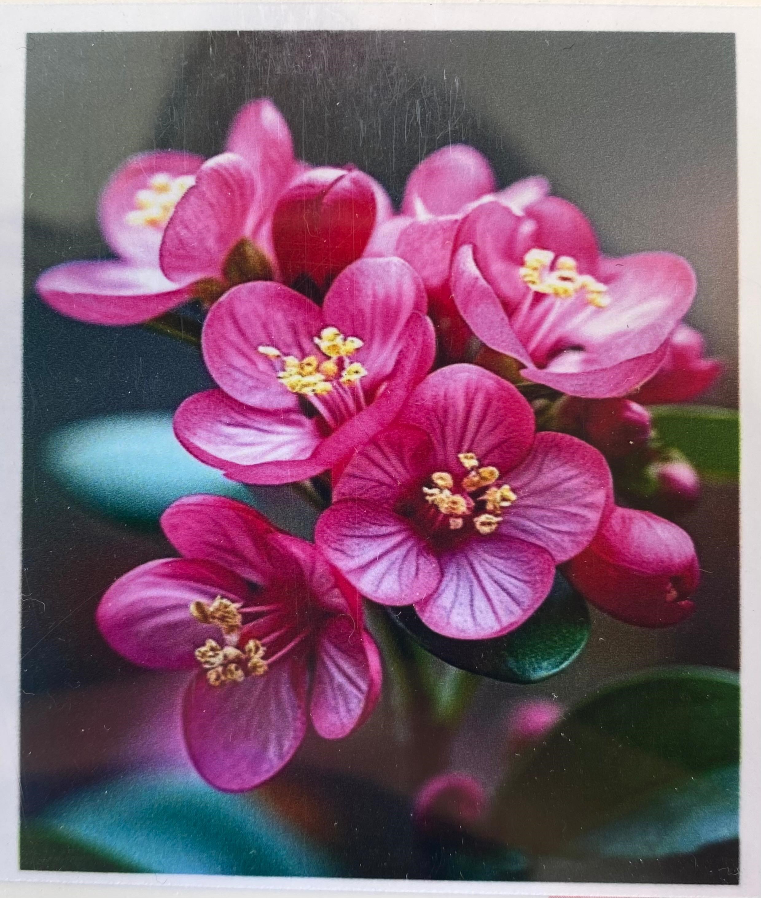Boncuklu Taşlı Pano Mozaik Elmas Goblen Diamond Tablo 50 X 40 Cm  Pembe Çiçekler