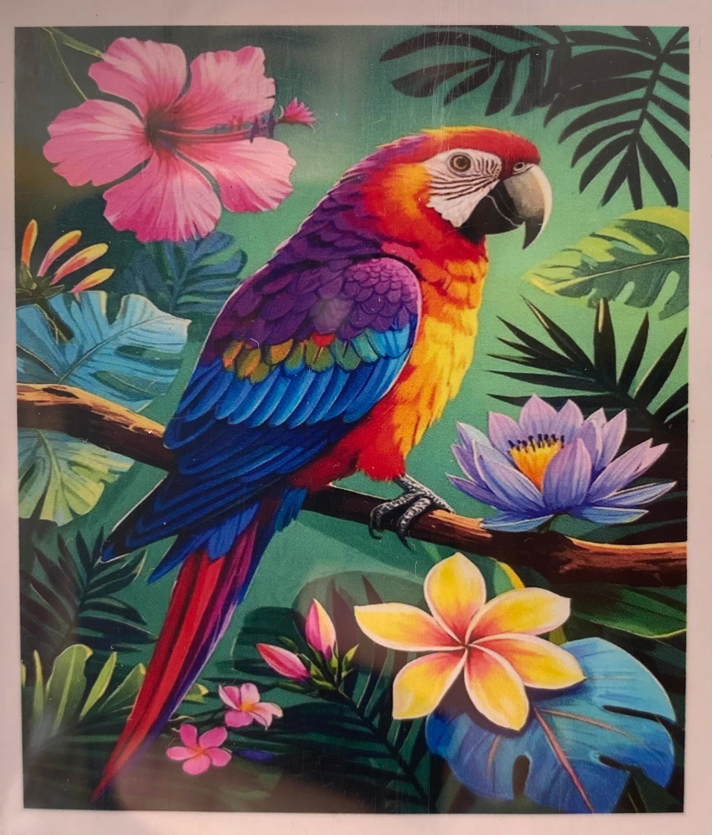 Boncuklu Taşlı Pano Mozaik Elmas Goblen Çocuklar İçin Diamond Tablo 50 X 65 Cm Papağan