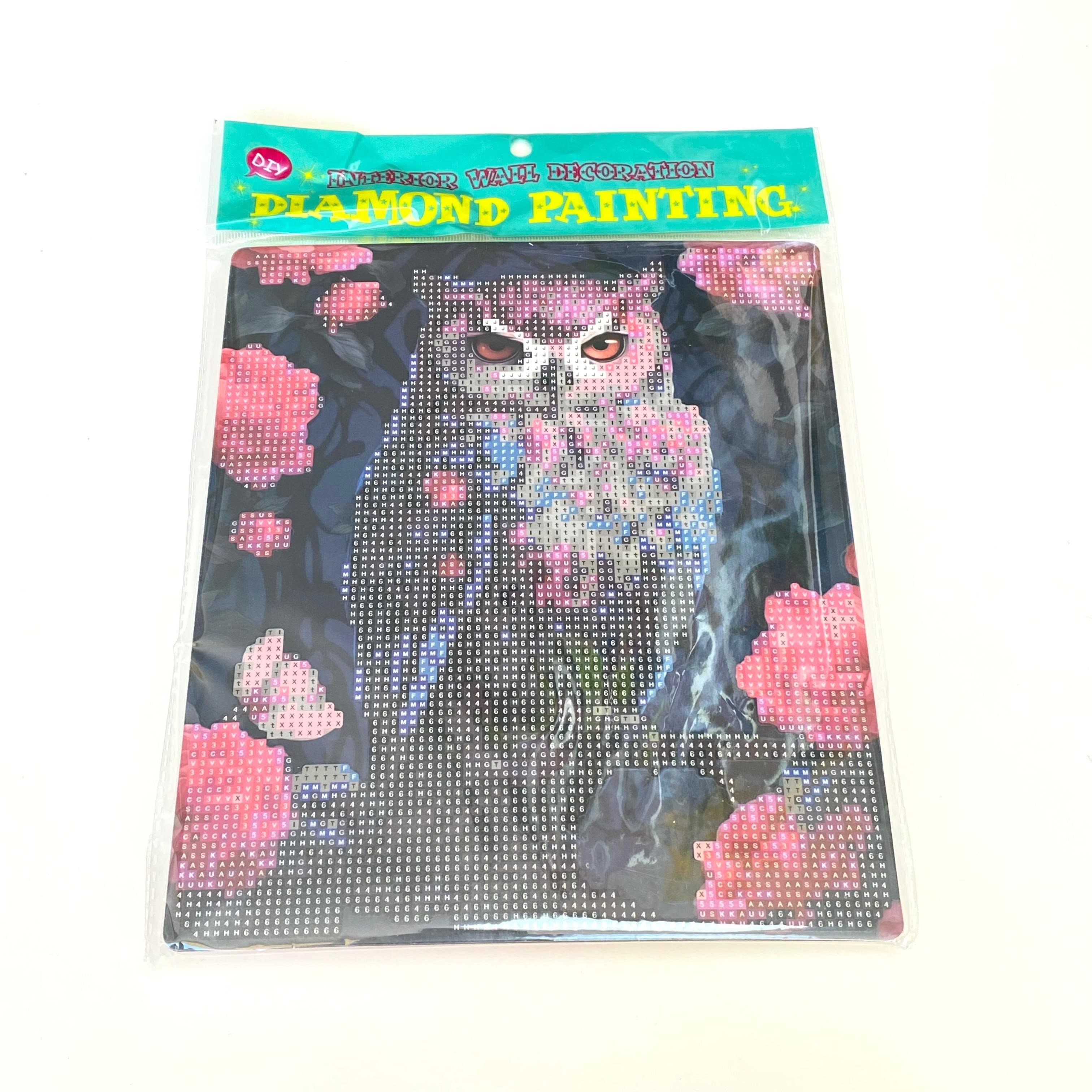 Boncuklu Taşlı Pano Mozaik Elmas Goblen Çocuklar İçin Diamond Tablo 21 x 25 Cm Baykuş