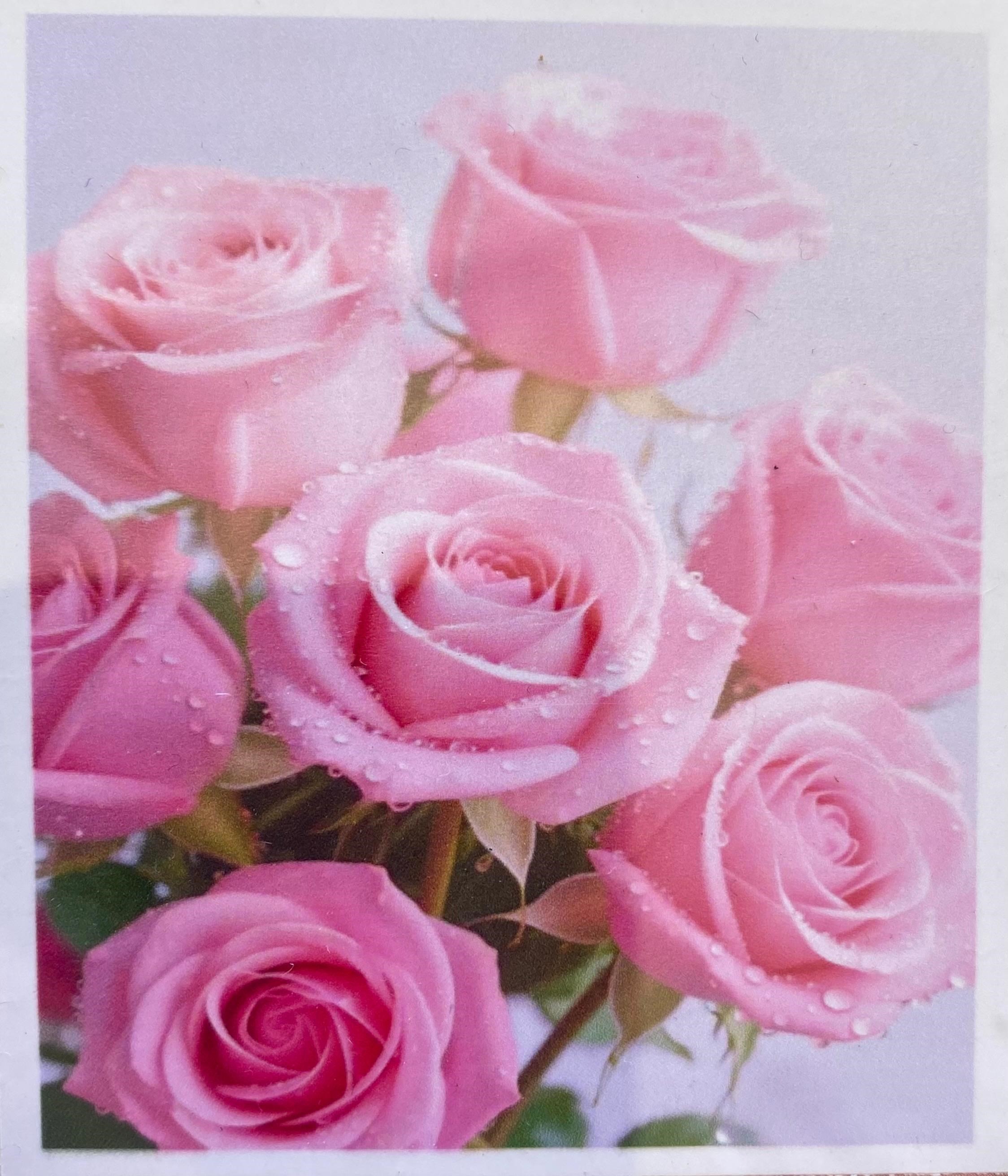 Boncuklu Taşlı Pano Mozaik Elmas Goblen Diamond Tablo 40x 50 Cm Pembe Gül Demetleri