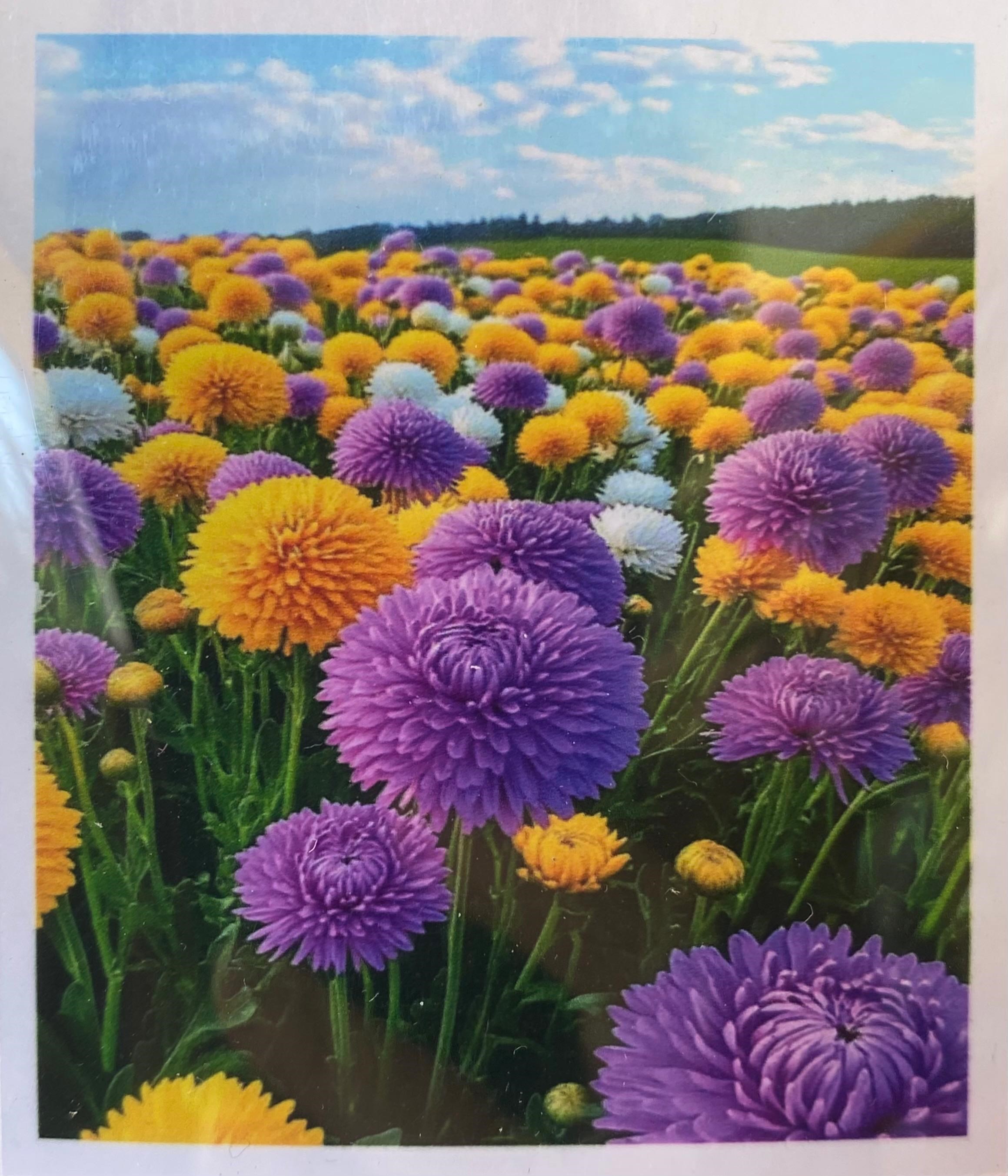 Boncuklu Taşlı Pano Mozaik Elmas Goblen Diamond Tablo 40x 50 Cm Kristal Çiçeği