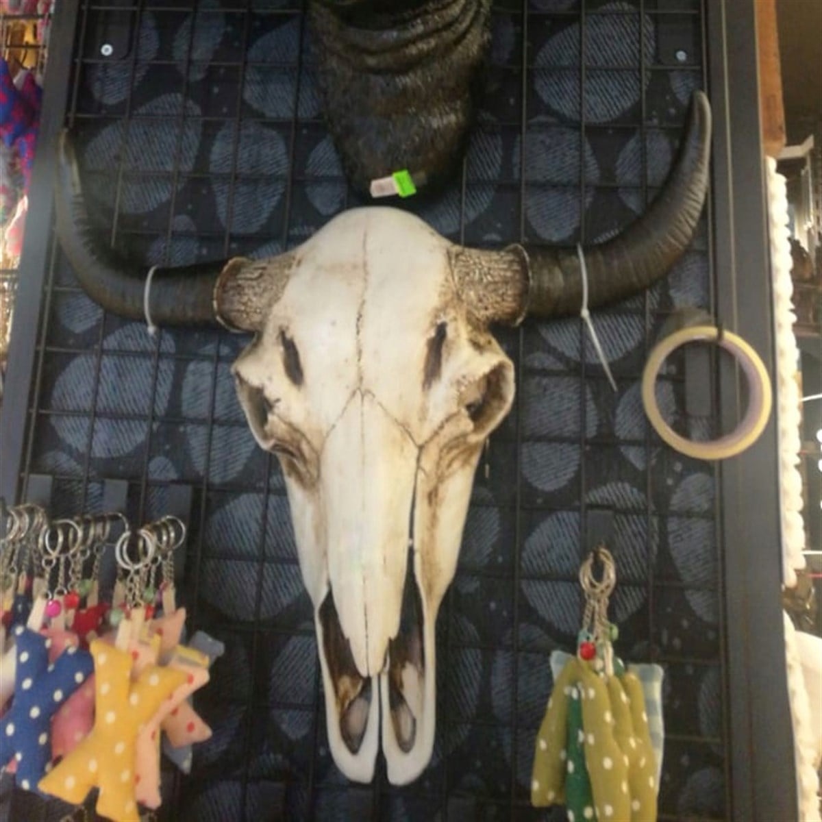 Bufalo Kafası Dekor (Büyük Boy 50 cm)