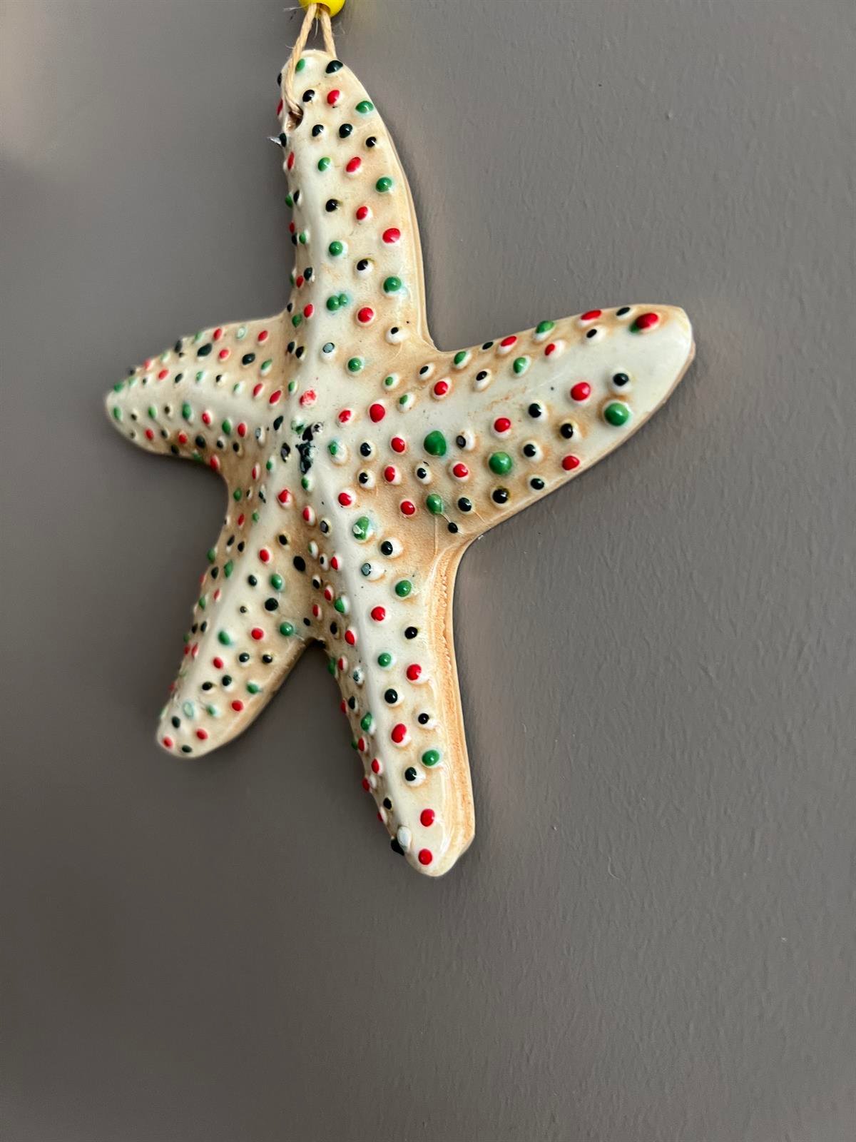 Seramik Elde Boyanmış Deniz Yıldızı Duvar Dekoru (13 cm) - Miamantra