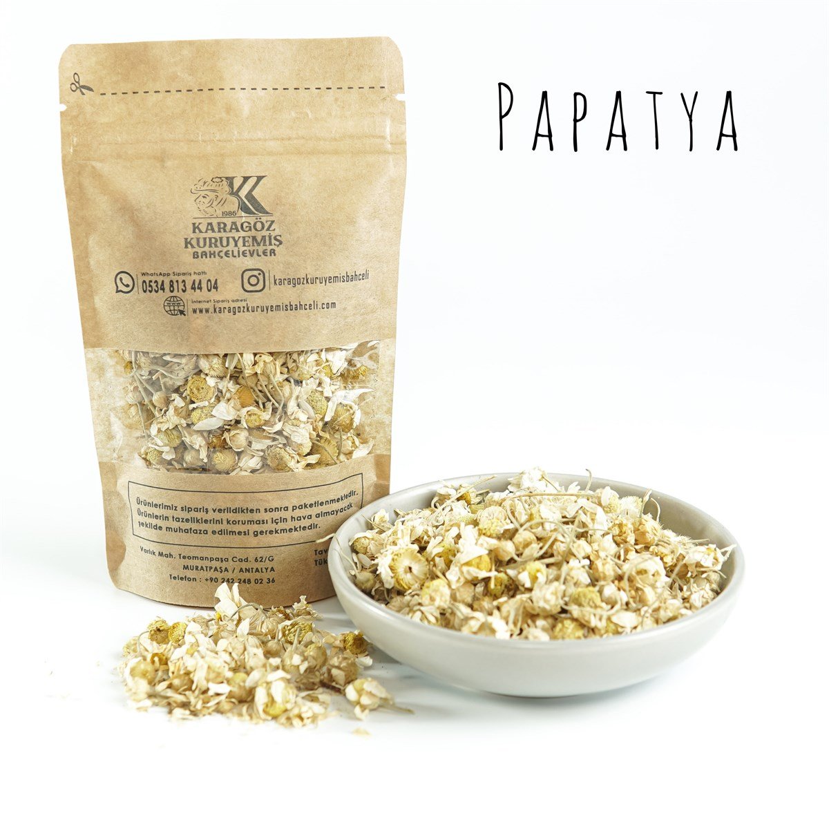 Papatya