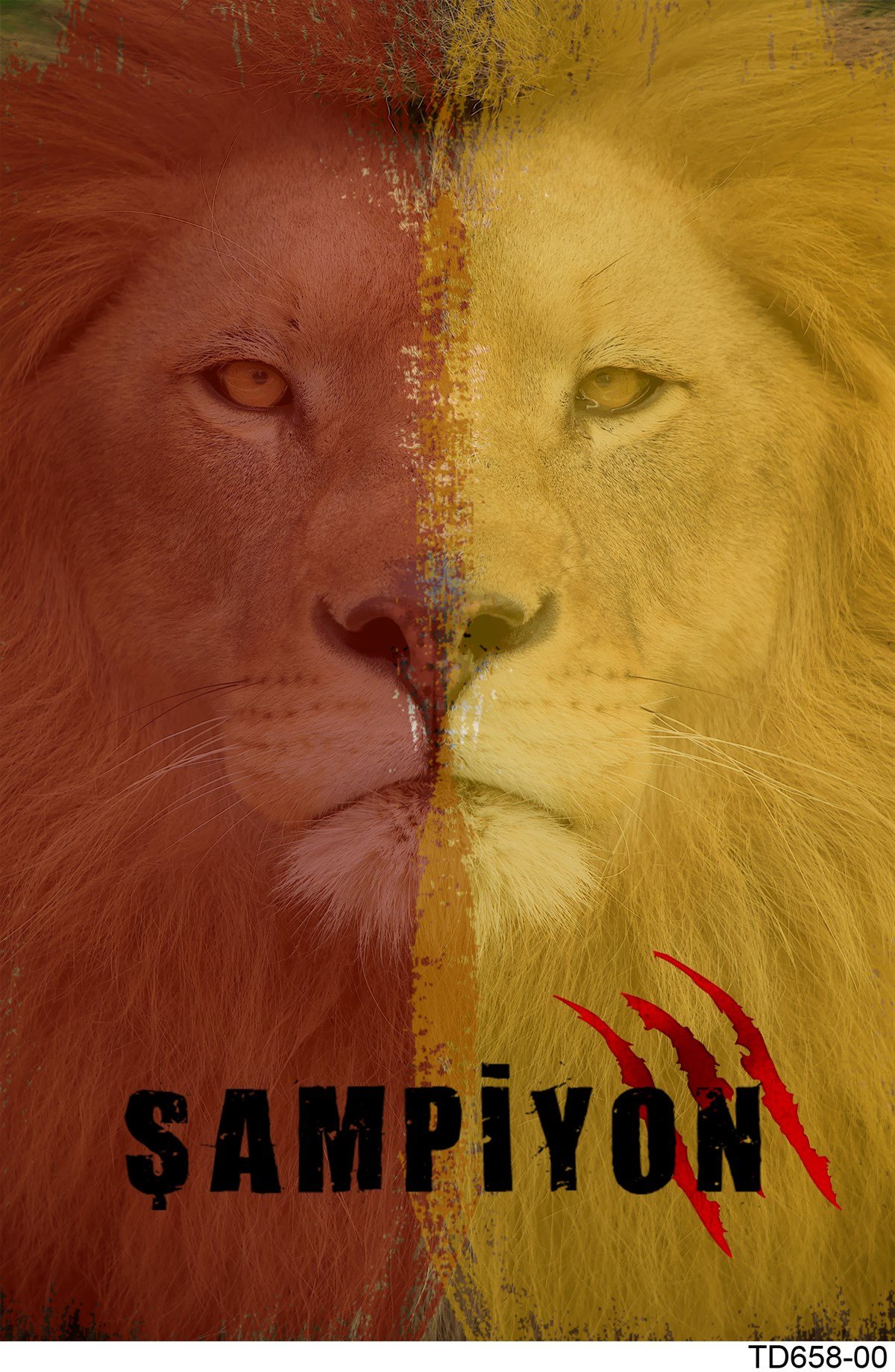 Elena DijiMod Baskı TD658-00