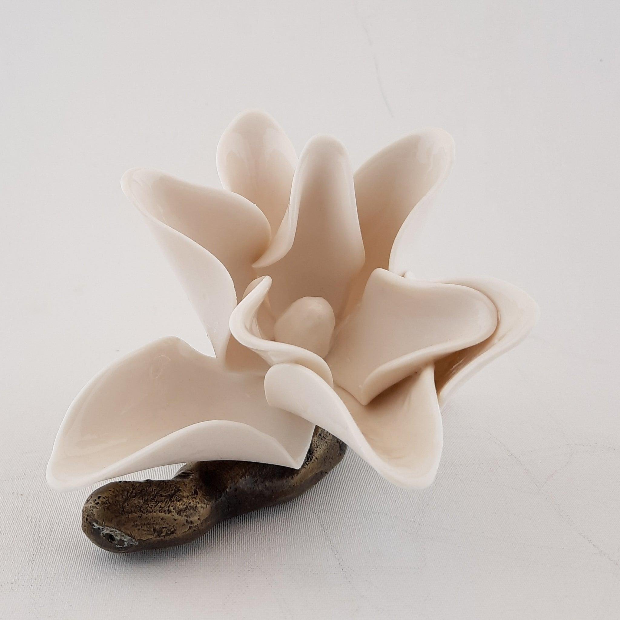 Magnolia Çiçek (S)