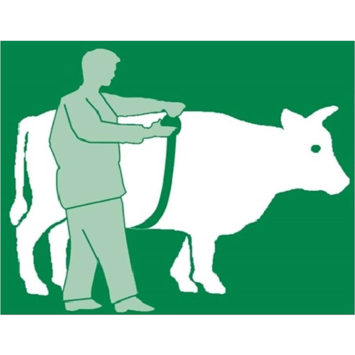 Kilo Ölçer Danometre