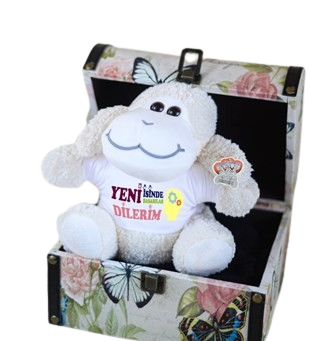 25 Cm Tişörtlü Çiçek Kuzucuk