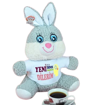 25 Cm Tişörtlü Çiçek Tavşancık