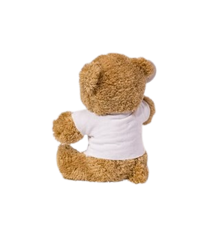 Ayı Teddy