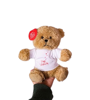 Ayı Teddy