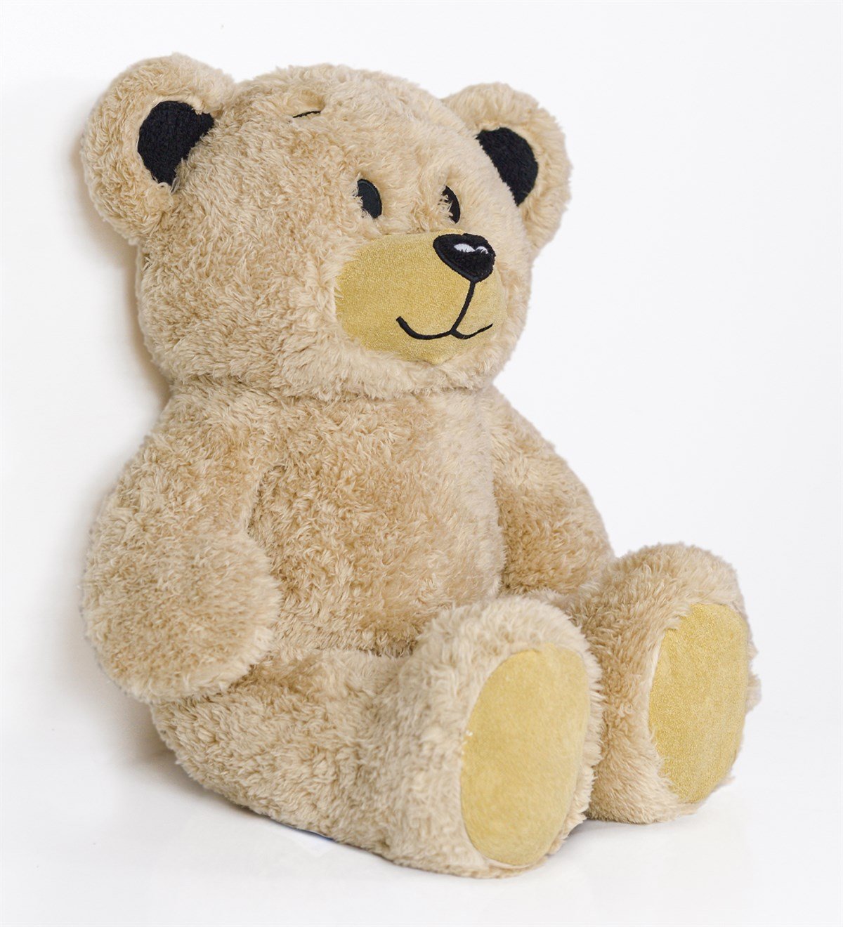 Ayı Teddy No:2