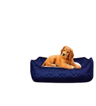 Köpek - Kedi Evcil Hayvan Yatağı