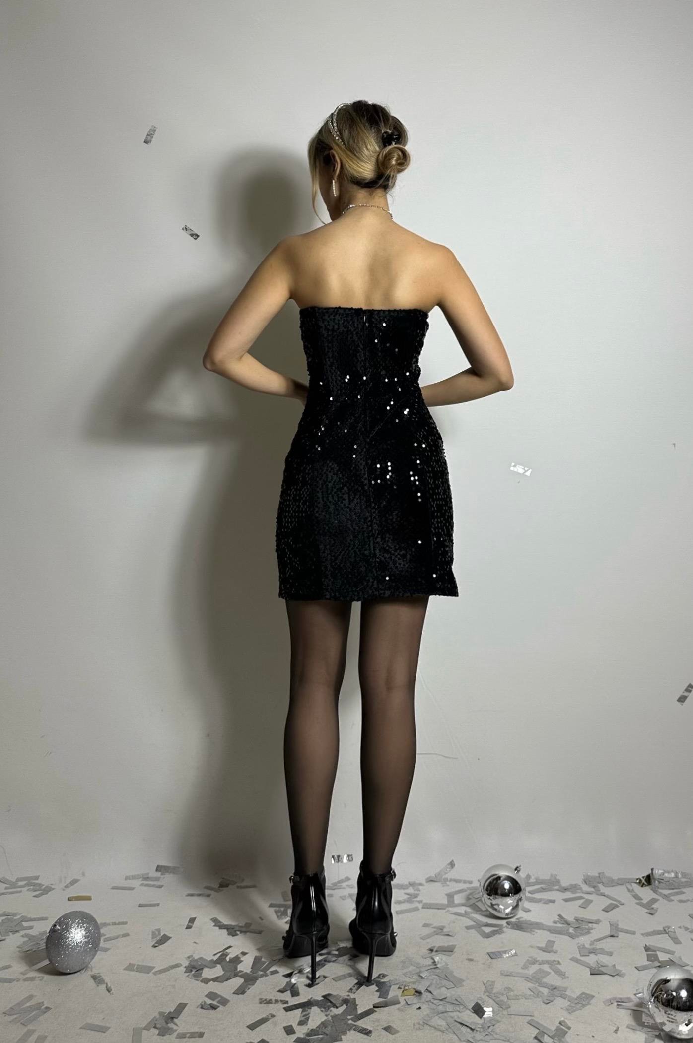 Payetli Diana Elbise