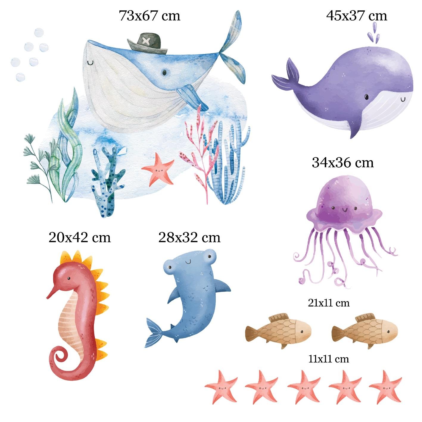 Duvar Sticker-96-Deniz Canlıları