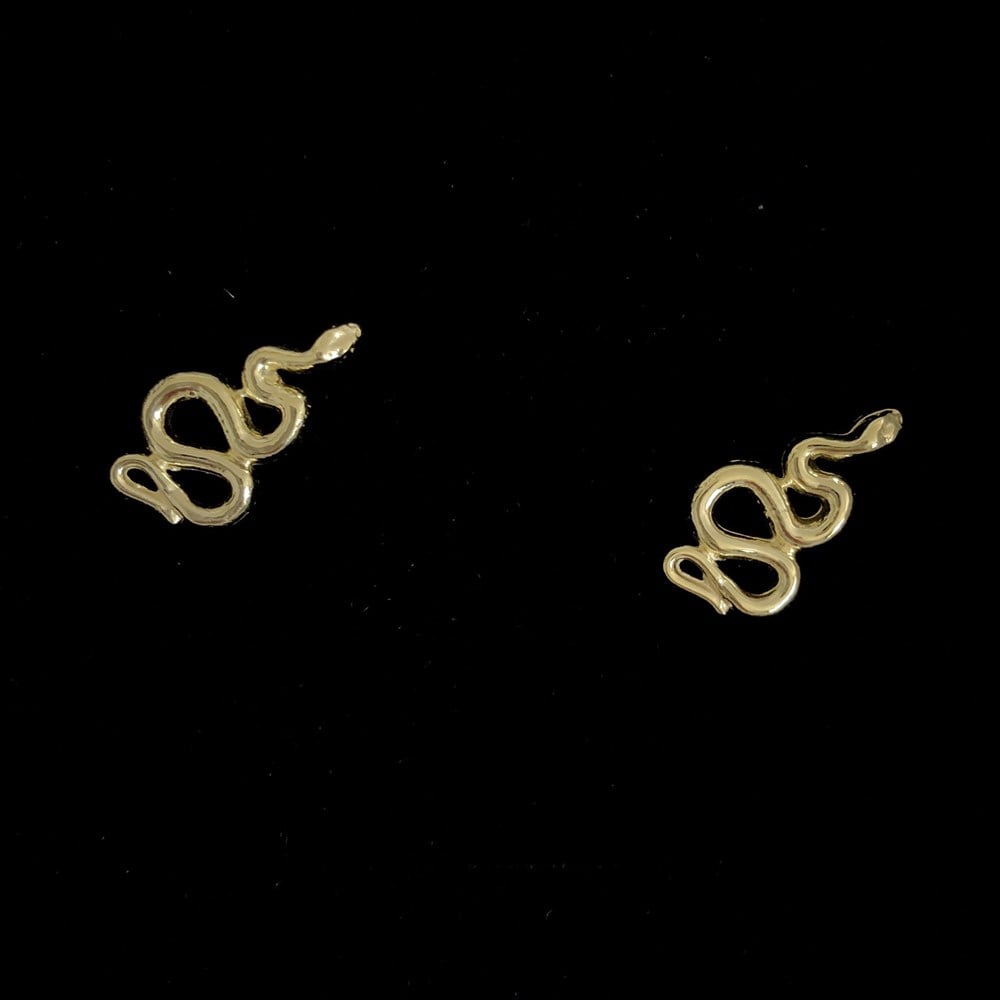 tragus yılan 925