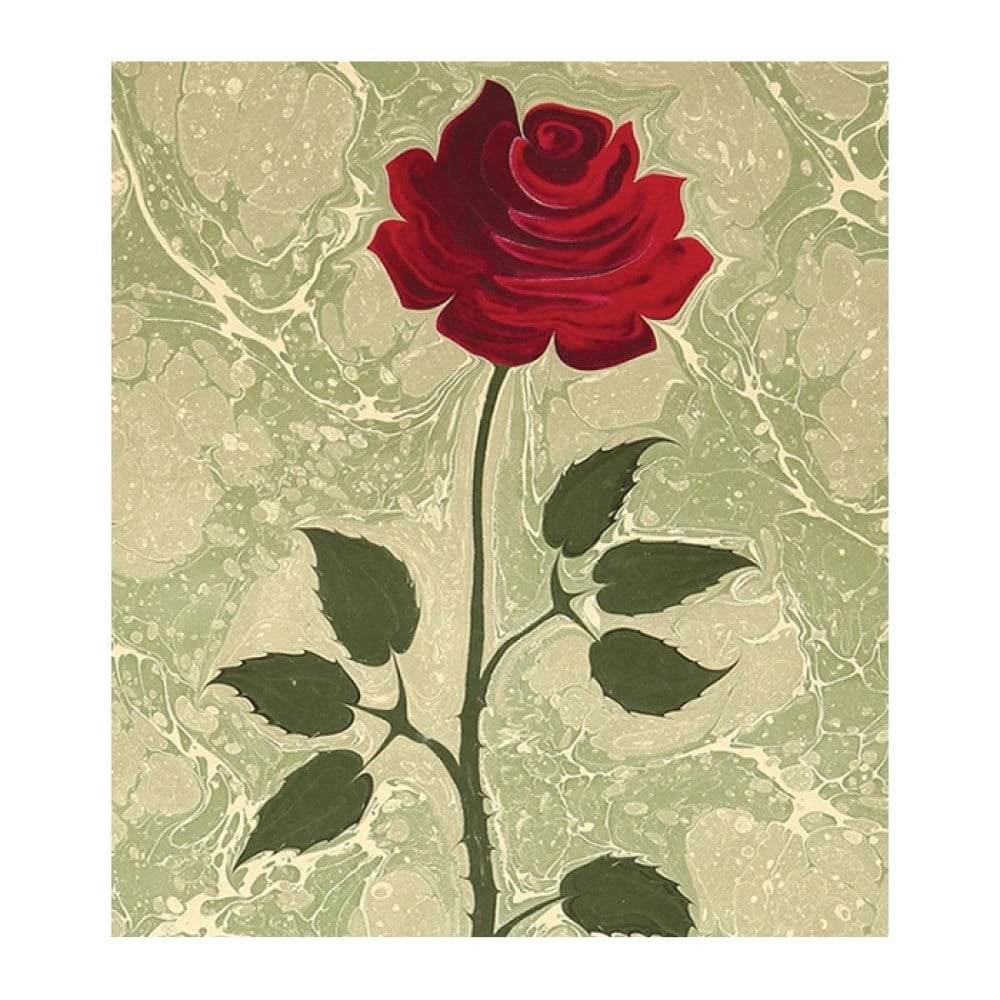 EBRU SANATI BAŞLANGIÇ SETİ