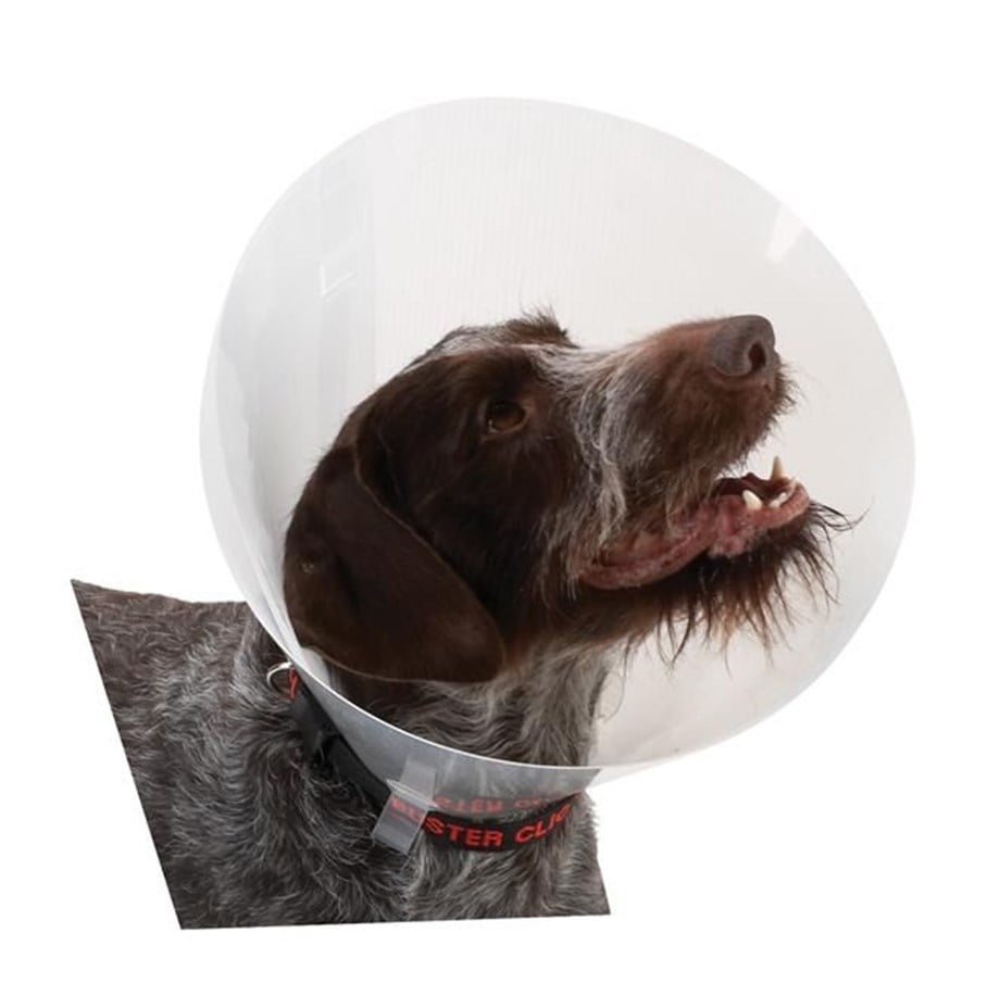 BUSTER YAKALIK 30 CM