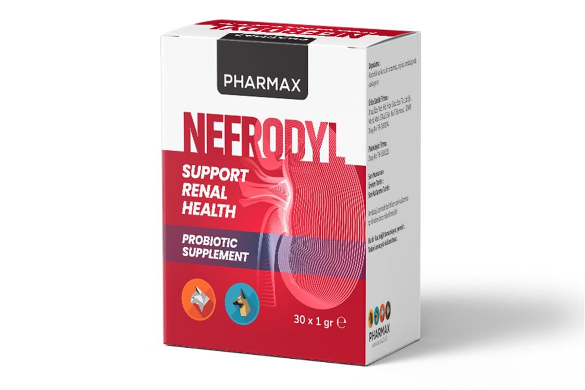 Nefrodyl 30*1 Gr.