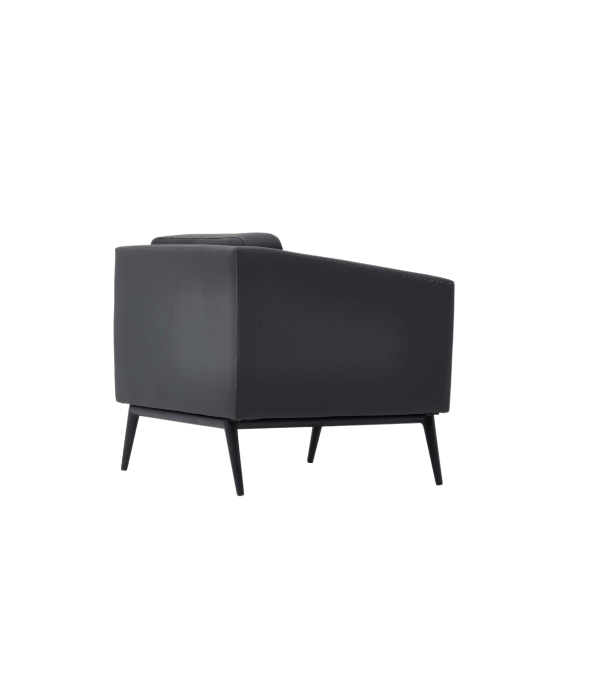 Daria Metal Ayak Siyah Berjer