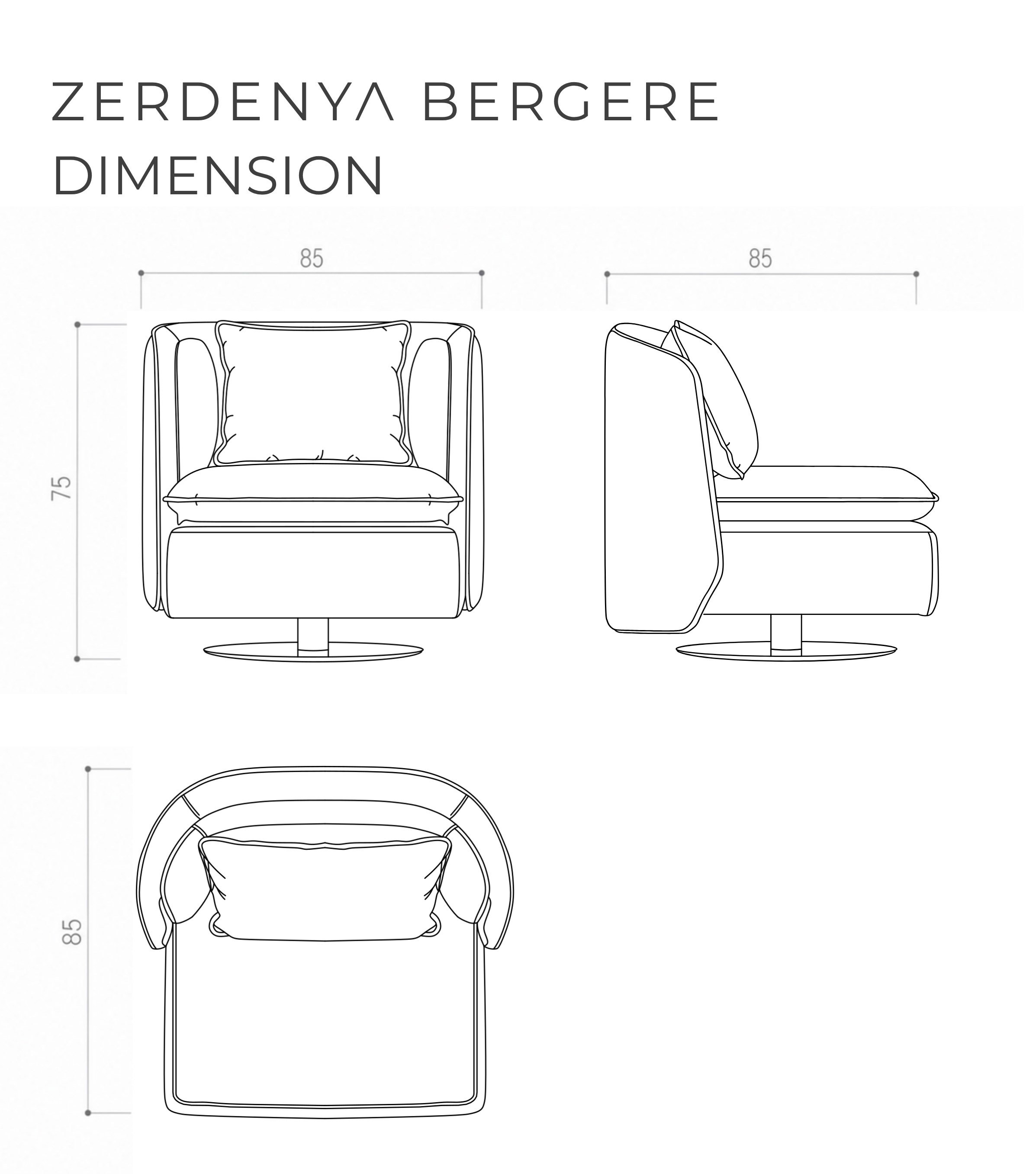 Zedenya Deri Detay Berjer