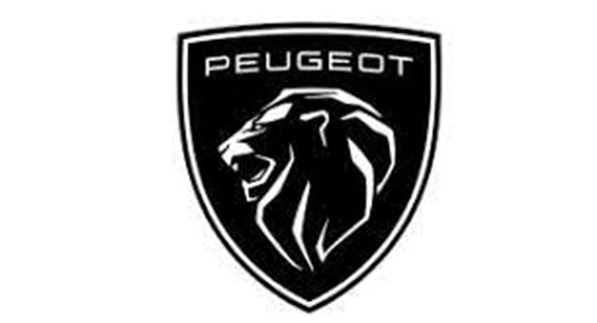 DYO PEUGEOT OTO BOYASI TÜM RENKLER 1 KG