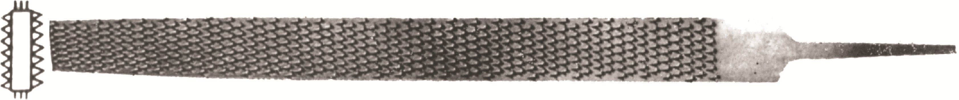 AĞAÇ TÖRPÜSÜ  -  FLAT 12