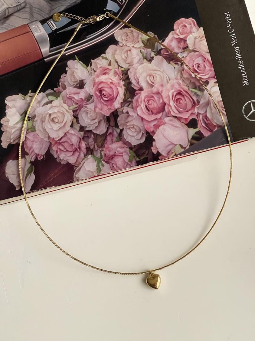 Çelik Gold Kalpli Kolye (51 Cm)