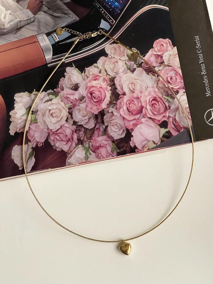Çelik Gold Kalpli Kolye (51 Cm)
