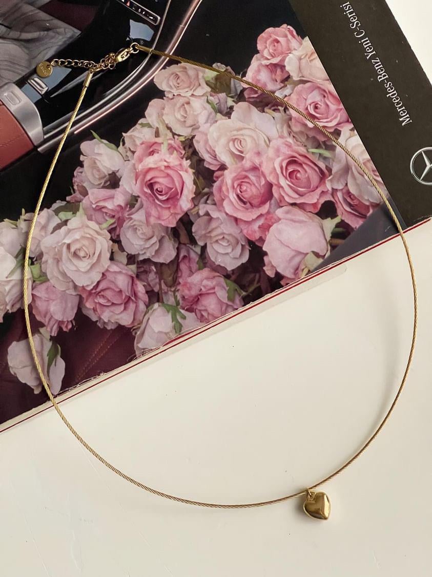 Çelik Gold Kalpli Kolye (51 Cm)