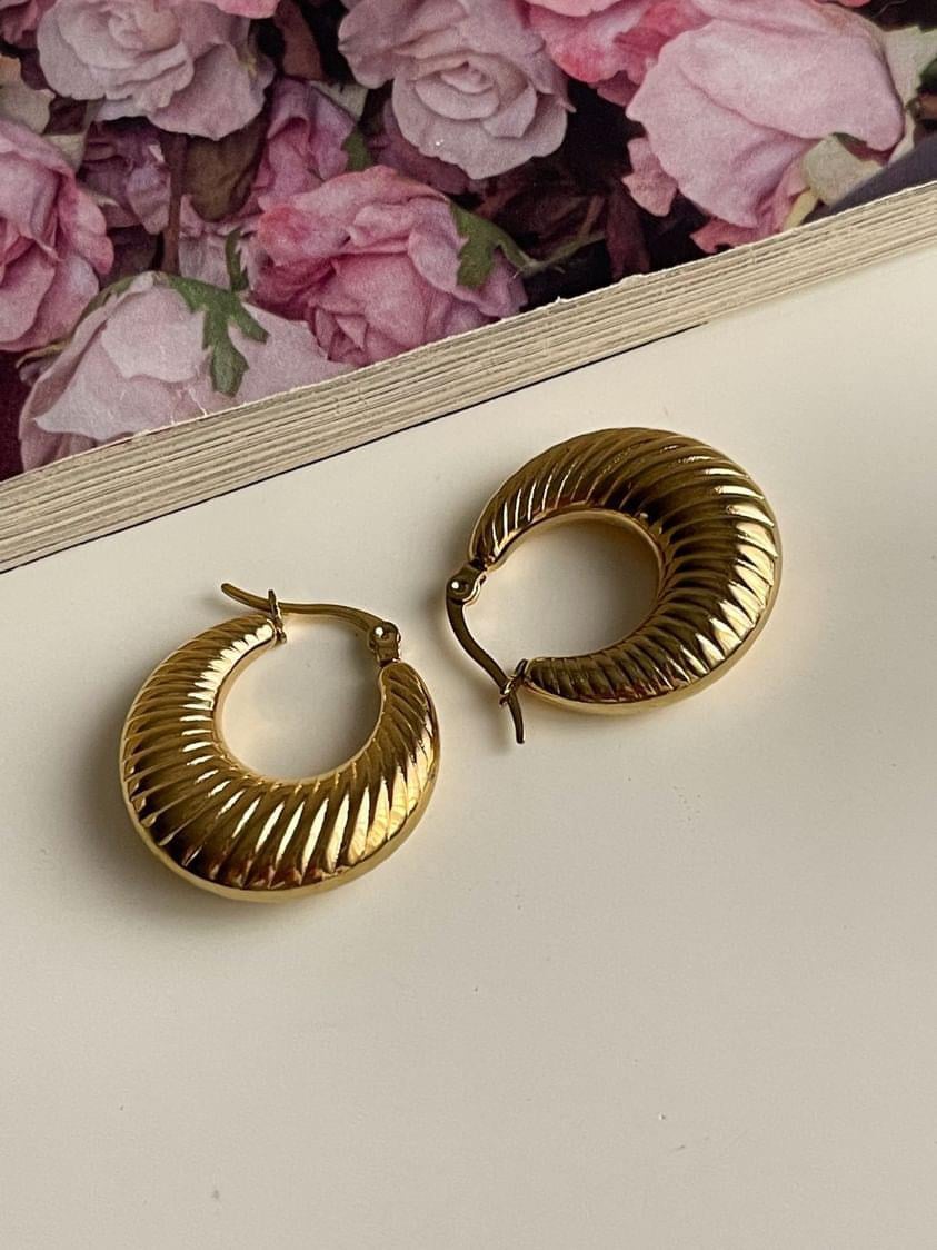 Çelik Gold Midye Küpe (2.5 Cm)