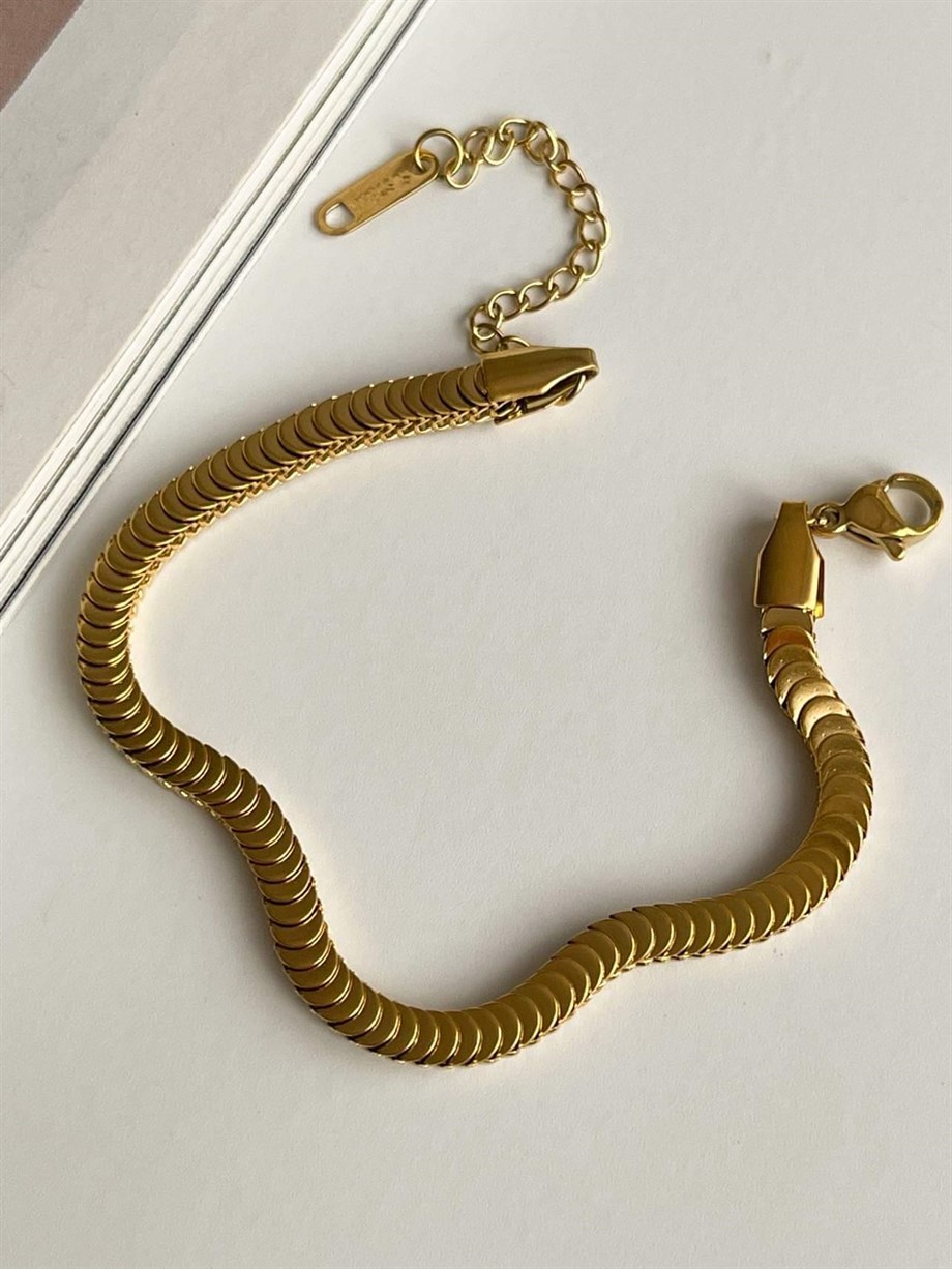 Çelik Pullu Bileklik (22 Cm)