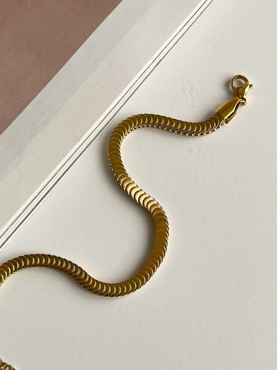 Çelik Pullu Bileklik (22 Cm)