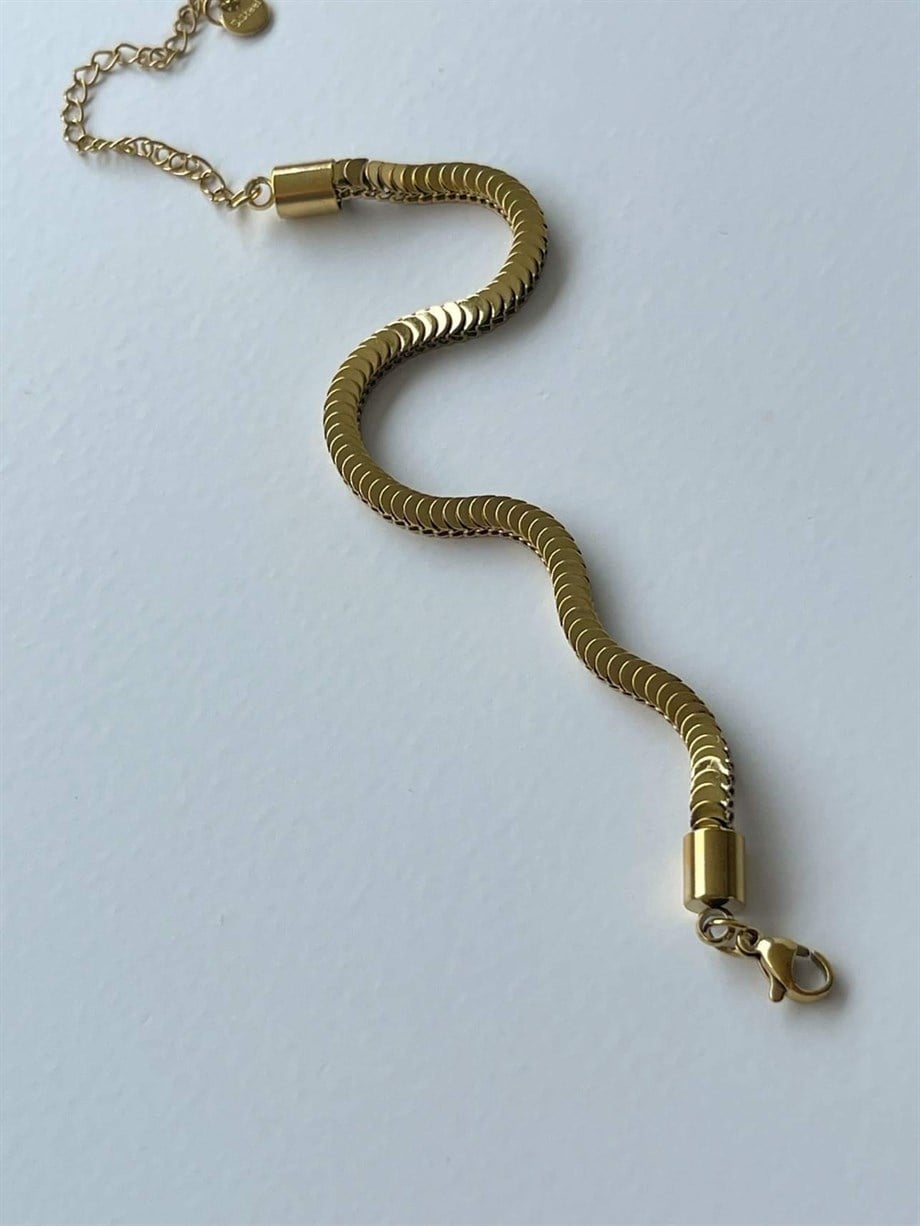 Çelik Pullu Bileklik (25 Cm)