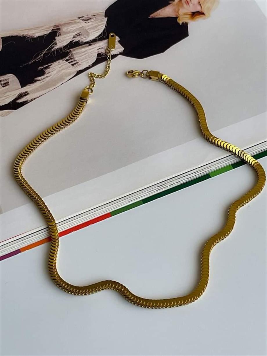Çelik Pullu Kolye (47 Cm)