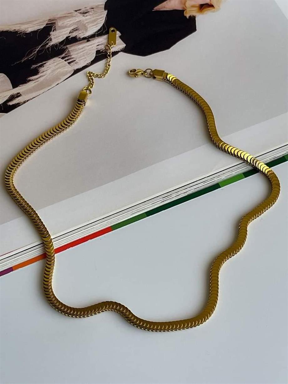 Çelik Pullu Kolye (47 Cm)
