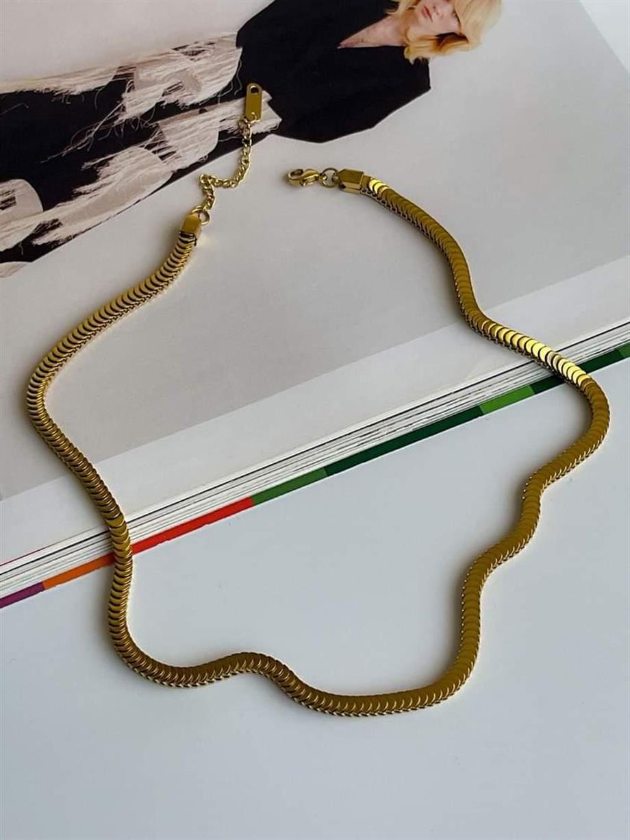 Çelik Pullu Kolye (47 Cm)