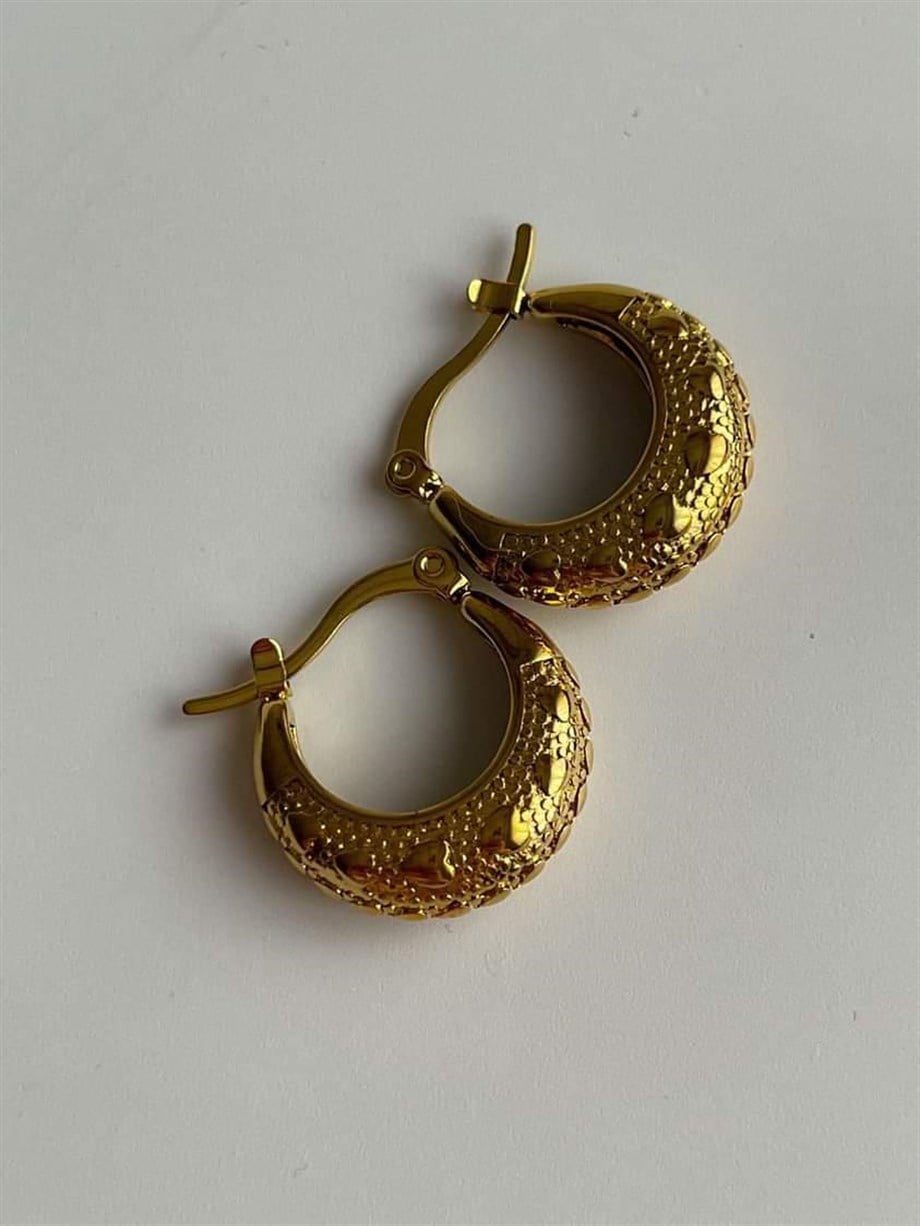 Çelik Steel Halka Küpe (2 Cm)