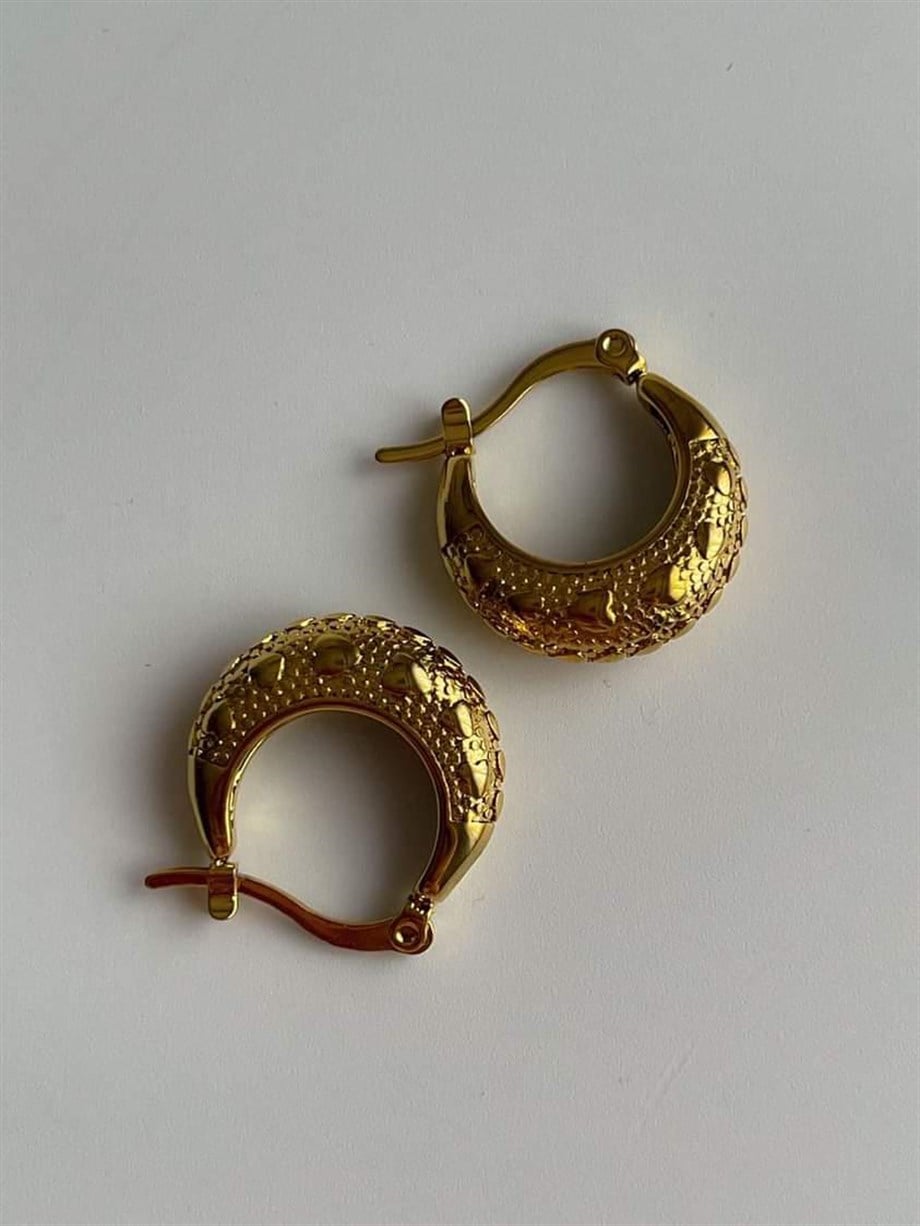 Çelik Steel Halka Küpe (2 Cm)