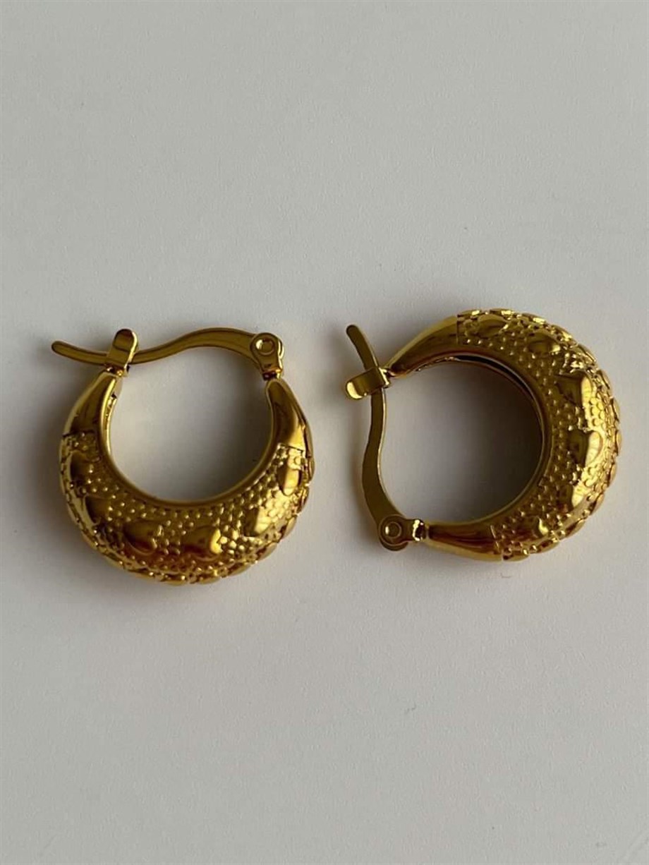 Çelik Steel Halka Küpe (2 Cm)