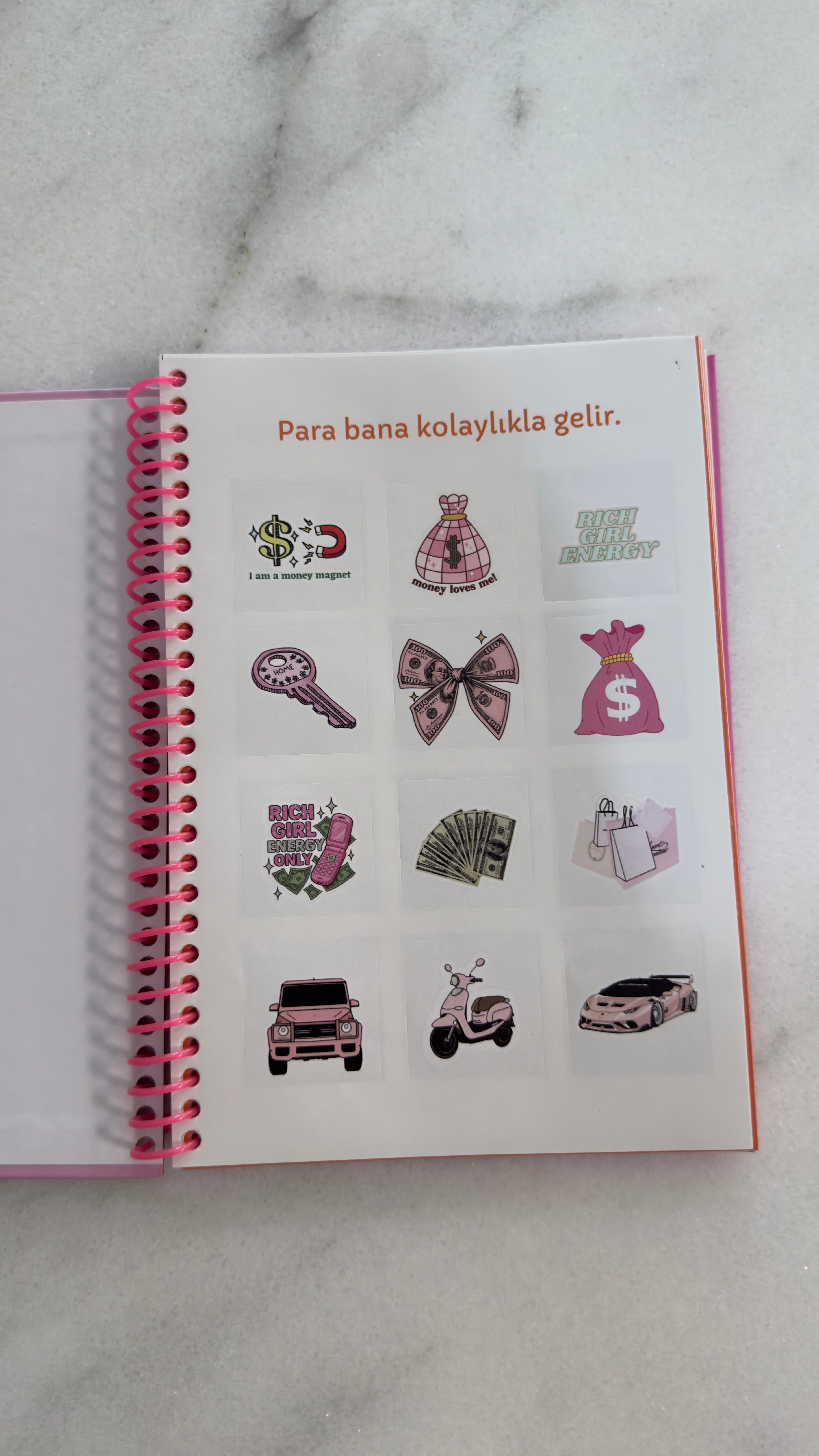 Pembe Manifestle Defteri