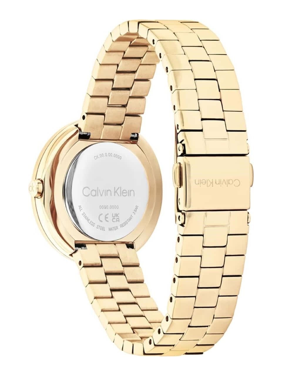 Calvin Klein CK25100094 Kadın Kol Saati