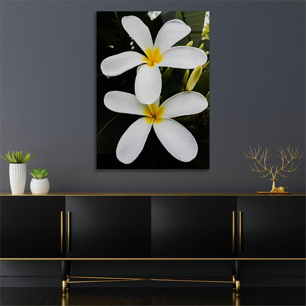 Tempered Glasss Wall Arts Natured-Themed