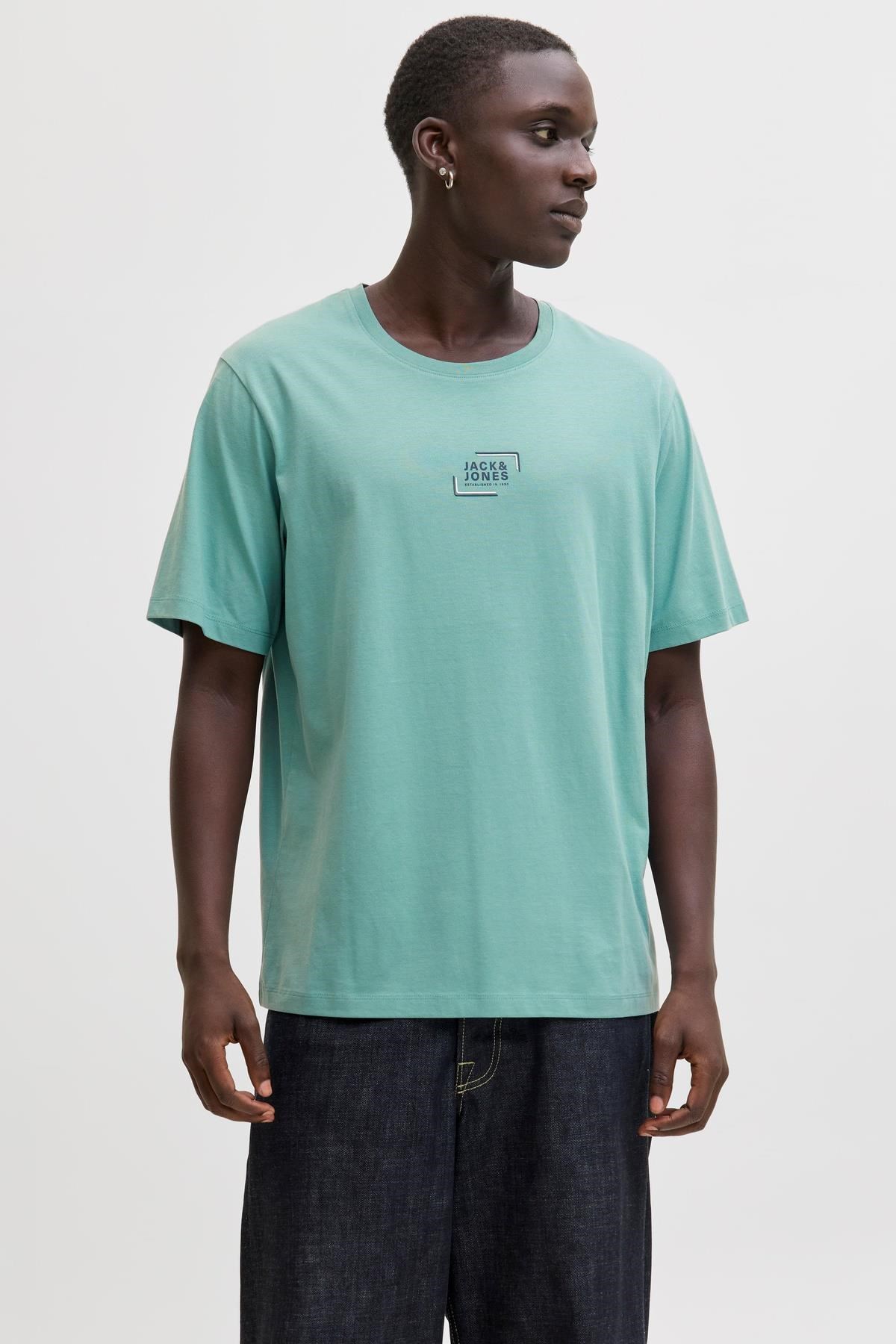 Jack & Jones Erkek Bisiklet Yaka Grafik Baskılı Tişört 